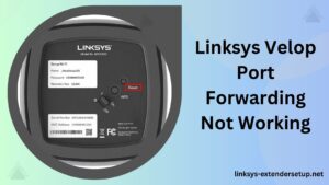 Read more about the article Understanding and Troubleshooting Linksys Velop Port Forwarding Issues